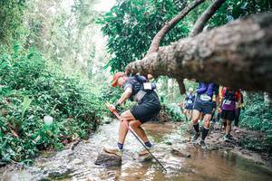 BIB: 
                            <button type="button" onclick="openModal(25373456)" class="btn btn-primary btn-sm float-right btn-popup" data-toggle="modal" data-target=".modal-high-quality">
                        <i class="fas fa-shopping-cart"></i> Add to Cart
                    </button>
                                            <button type="button" onclick="isThisMe(25373456, true)" class="btn btn-success btn-sm float-right btn-popup btn-isme hidden" data-toggle="tooltip" data-placement="bottom" title="นี่คือรูปของคุณใช่ไหม คลิกที่นี่เพื่อเอาเข้าอัลบั้ม">
                        <i class="fas fa-plus"></i> Add to album
                    </button>
                    <button type="button" onclick="isThisMe(25373456, false)" class="btn btn-warning btn-sm float-right btn-popup btn-isnotme hidden">
                        <i class="fas fa-ban"></i> Remove from album
                    </button>